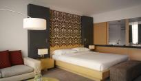 Hyatt Regency Hotel - 221 Rooms, 38.000 m2